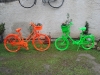 Plant A Bicycle project