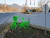 Plant A Bicycle project