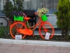 Plant A Bicycle project