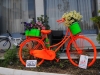 Plant A Bicycle project